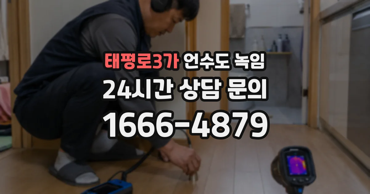 태평로3가 언수도 녹임