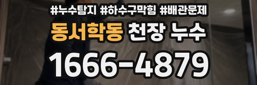 동서학동 천장 누수