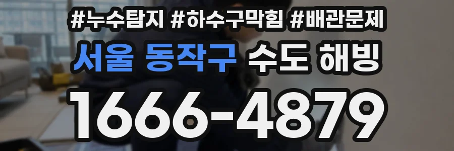 서울 동작구 수도 해빙