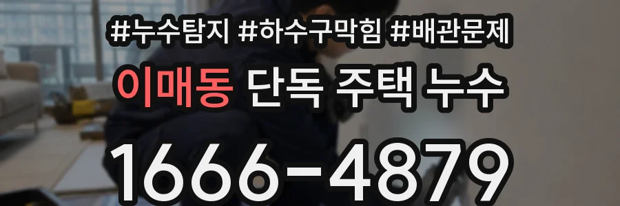 이매동 단독 주택 누수