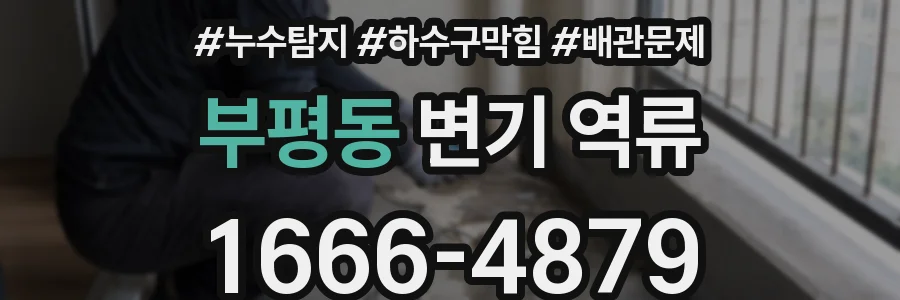 부평동 변기 역류