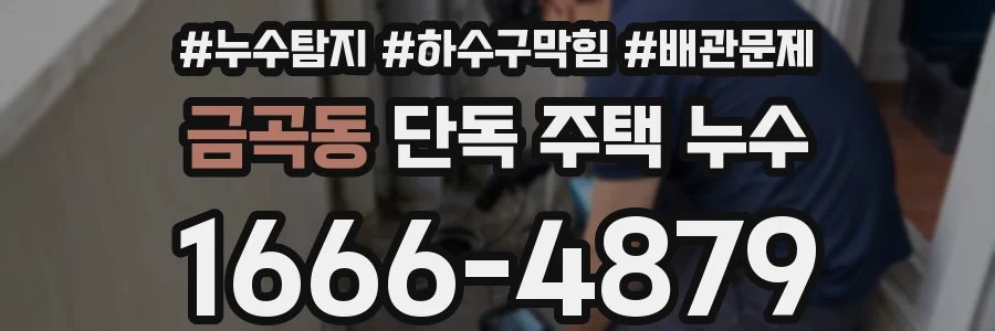 금곡동 단독 주택 누수
