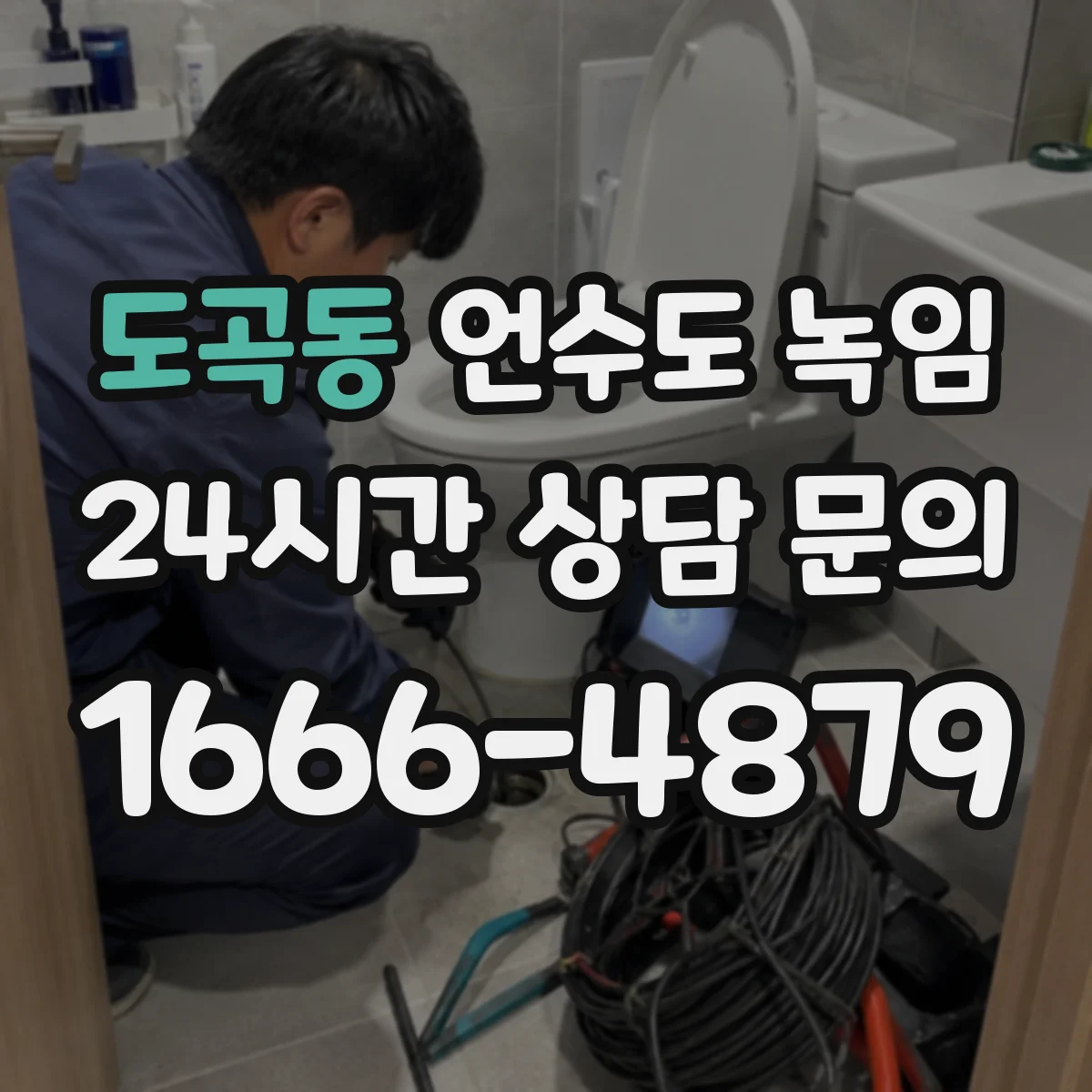 도곡동 언수도 녹임
