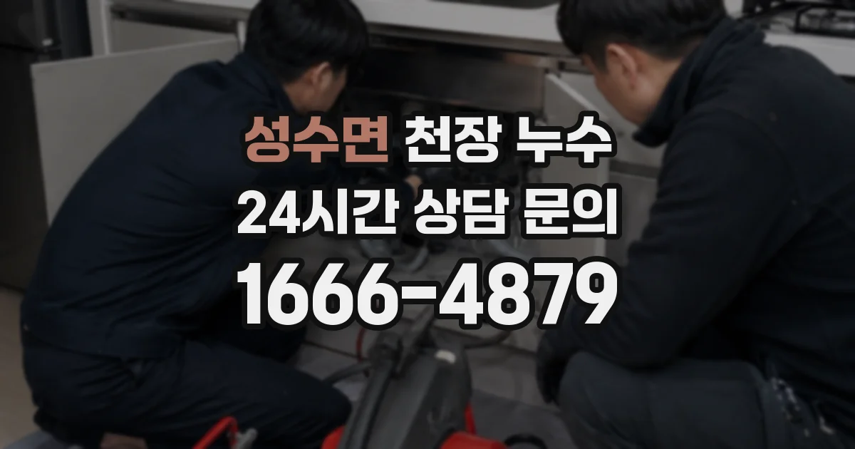 성수면 천장 누수