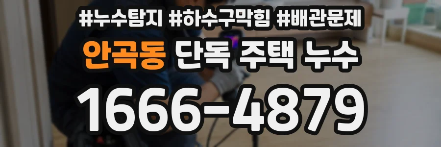 안곡동 단독 주택 누수