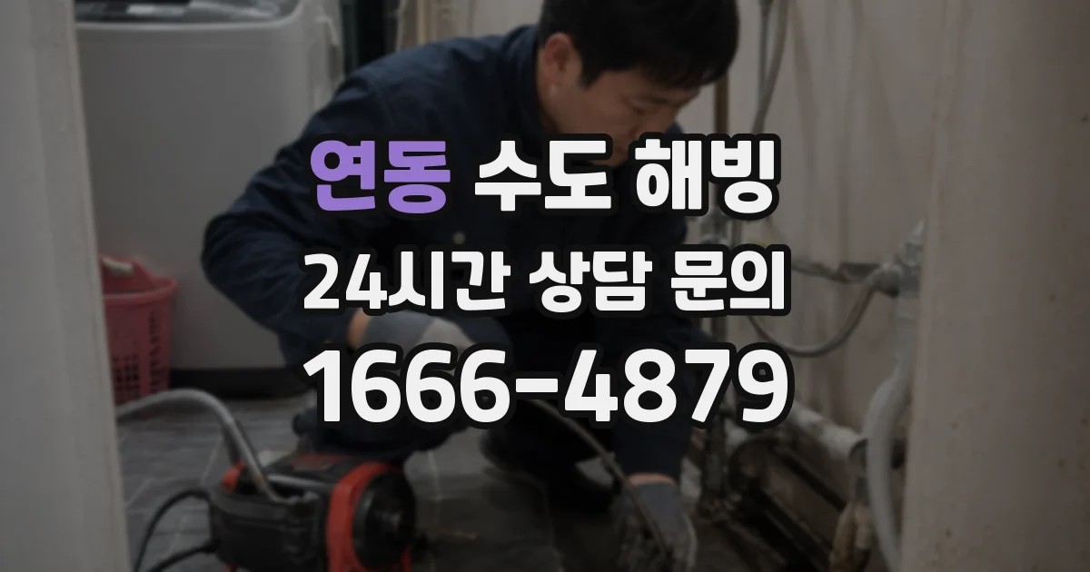 연동 수도 해빙