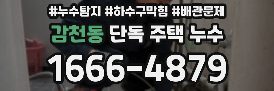 감천동 단독 주택 누수