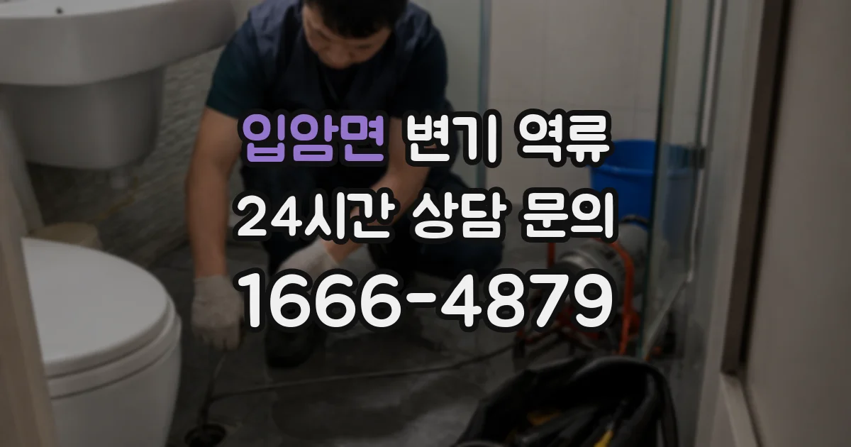 입암면 변기 역류