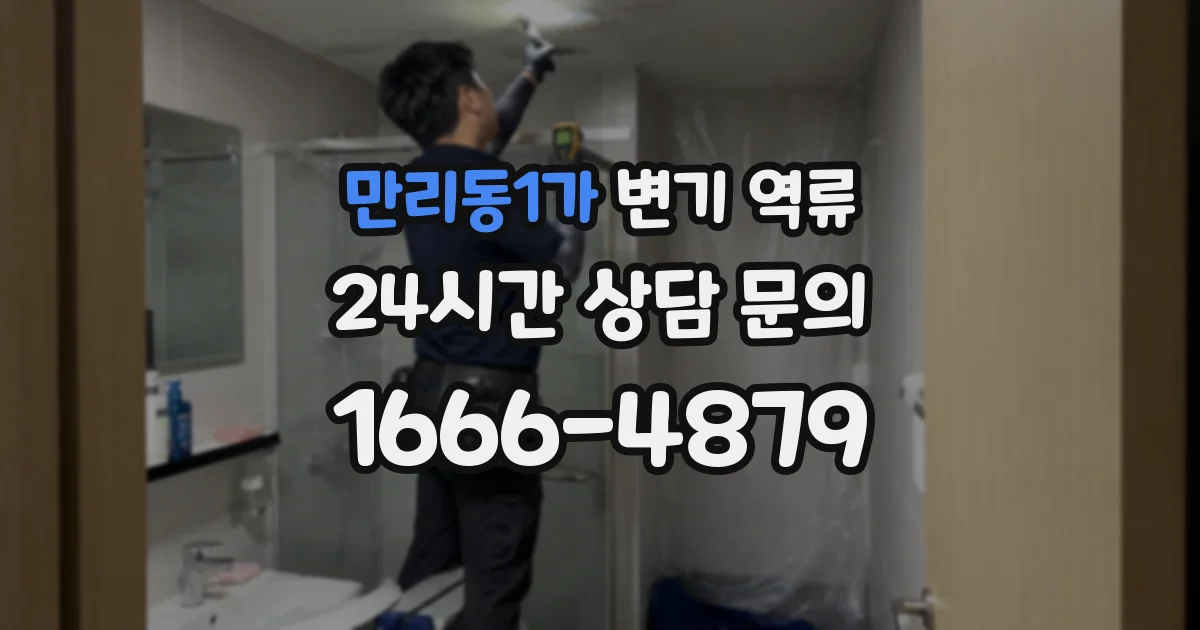 만리동1가 변기 역류