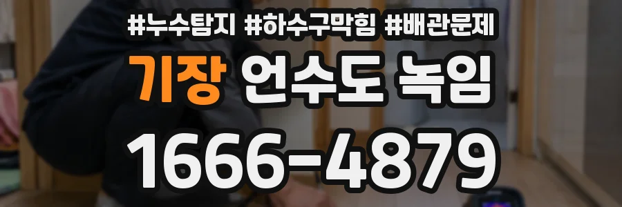 기장 언수도 녹임
