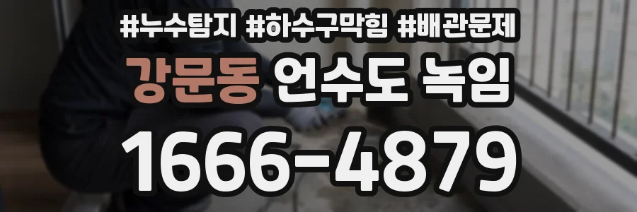 강문동 언수도 녹임