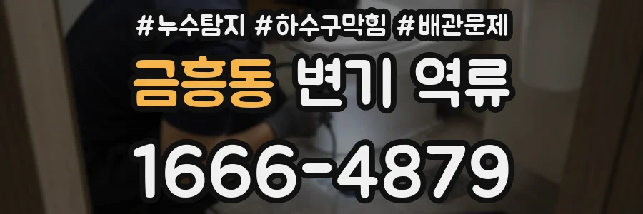 금흥동 변기 역류
