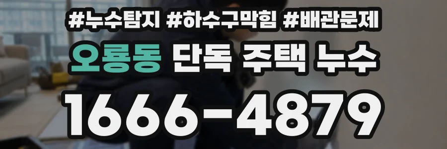오룡동 단독 주택 누수
