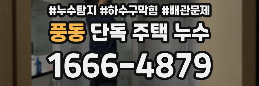 풍동 단독 주택 누수