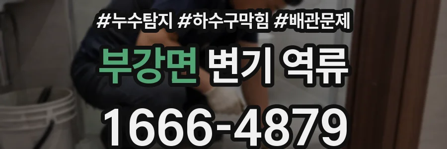 부강면 변기 역류