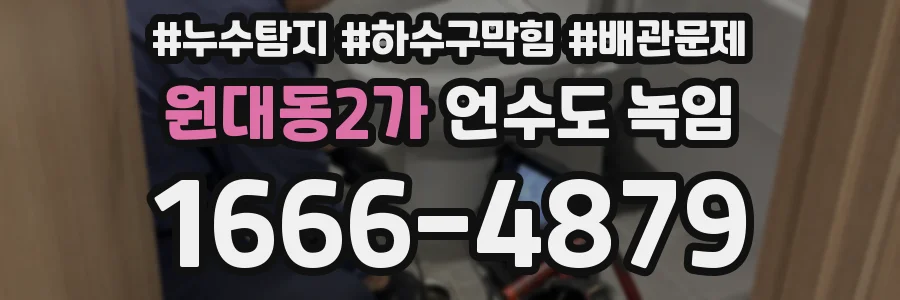 원대동2가 언수도 녹임