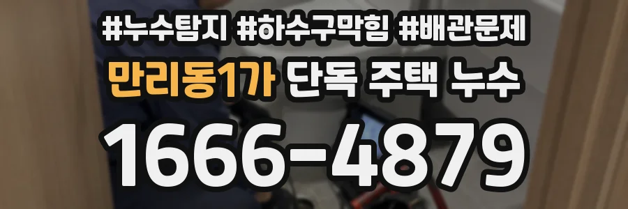 만리동1가 단독 주택 누수