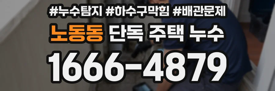 노동동 단독 주택 누수