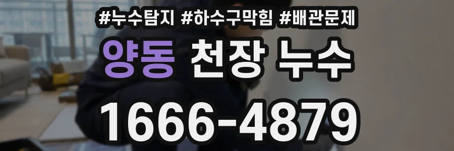 양동 천장 누수