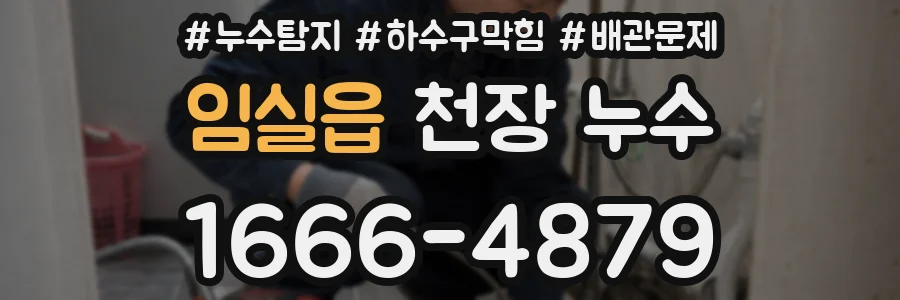 임실읍 천장 누수