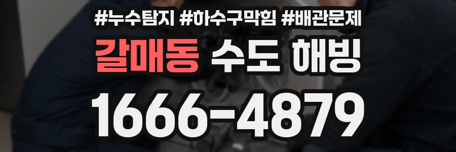 갈매동 수도 해빙
