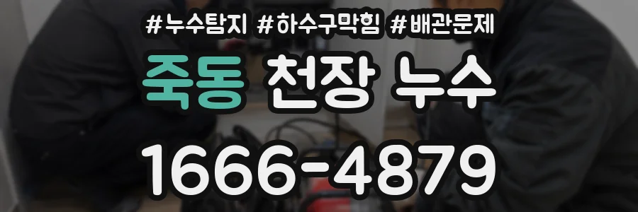 죽동 천장 누수