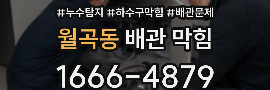 월곡동 배관 막힘