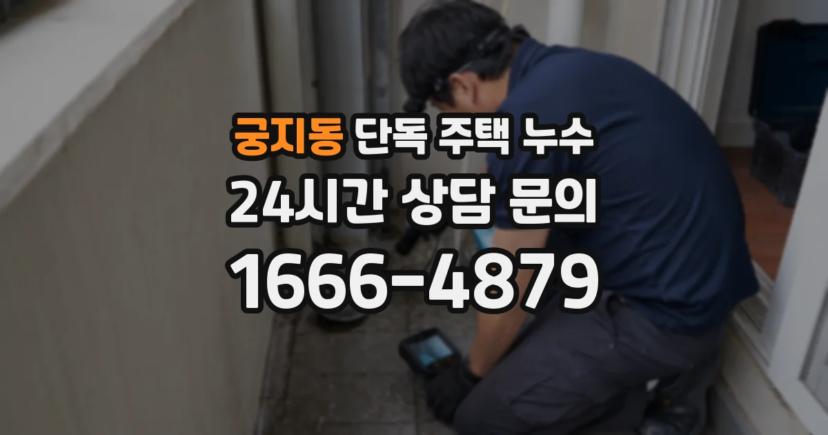 궁지동 단독 주택 누수