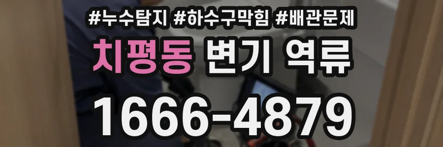 치평동 변기 역류
