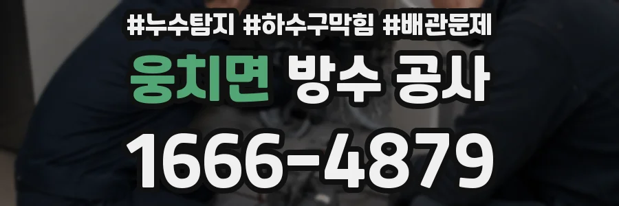 웅치면 방수 공사