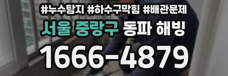 서울 중랑구 동파 해빙