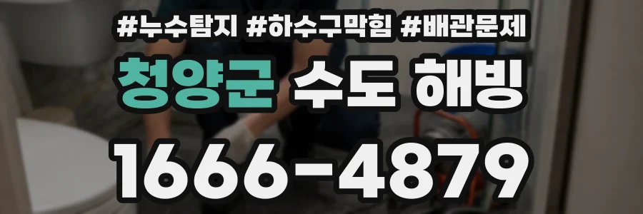 청양군 수도 해빙