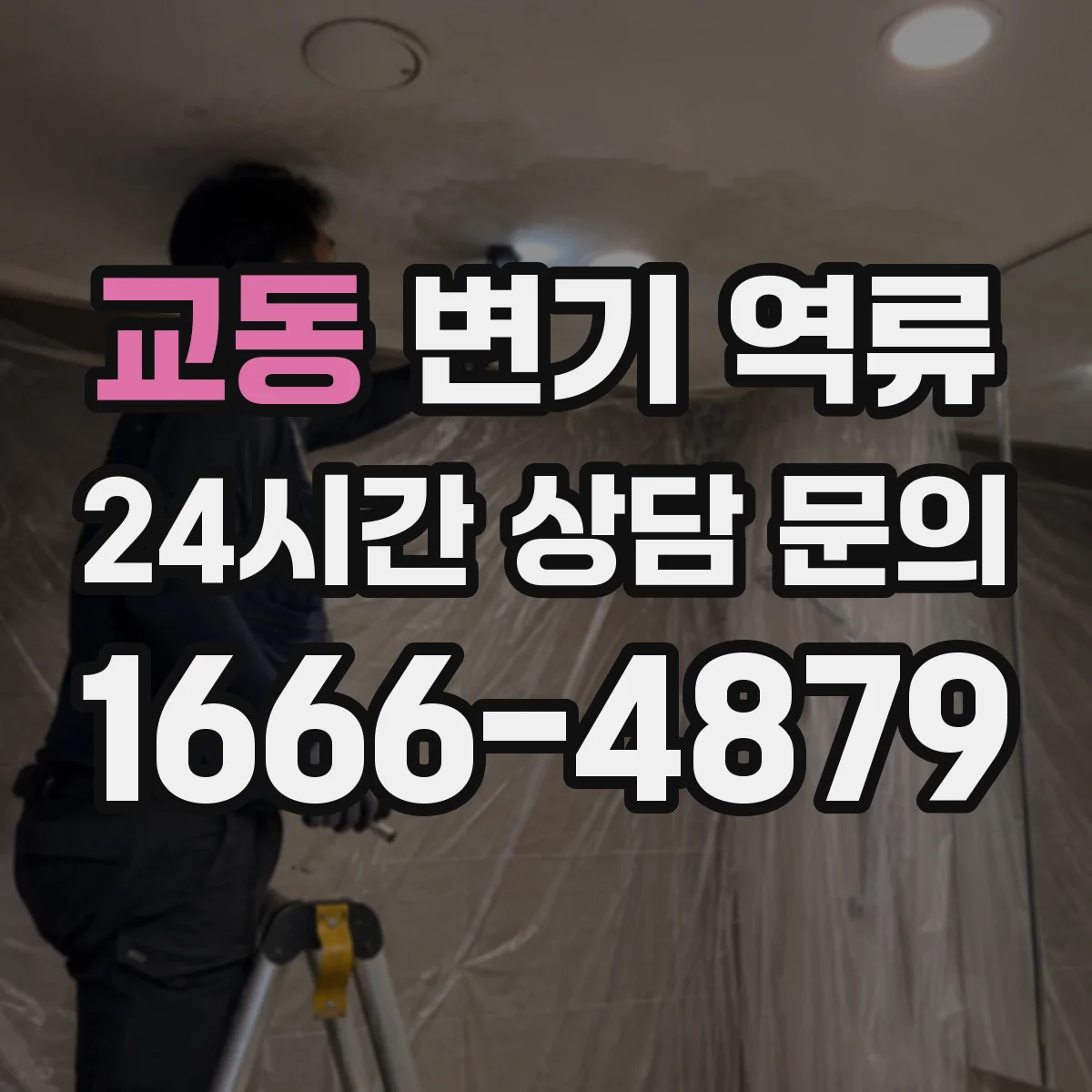교동 변기 역류