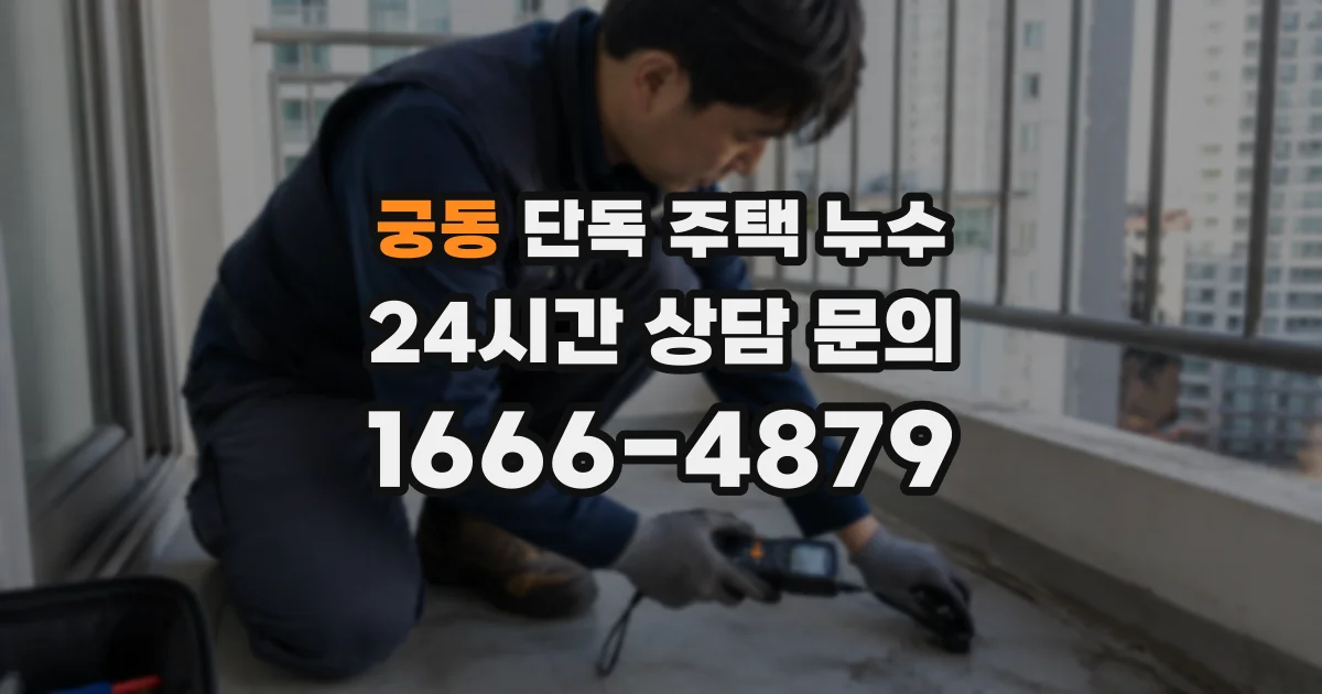 궁동 단독 주택 누수
