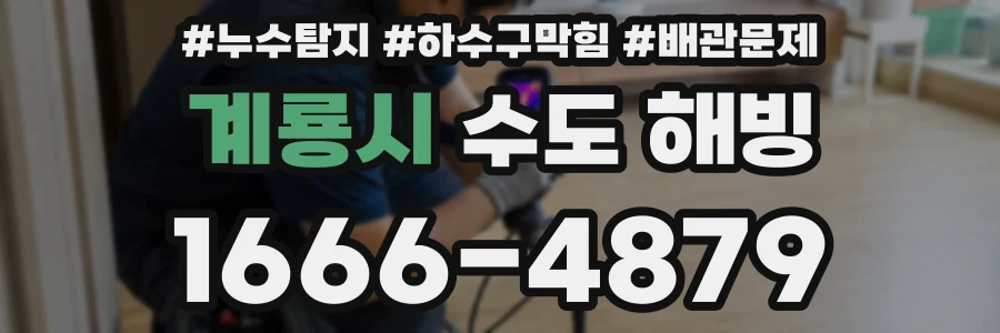 계룡시 수도 해빙