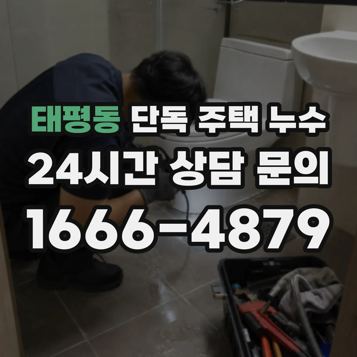 태평동 단독 주택 누수