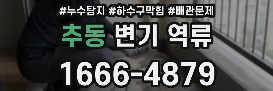 추동 변기 역류