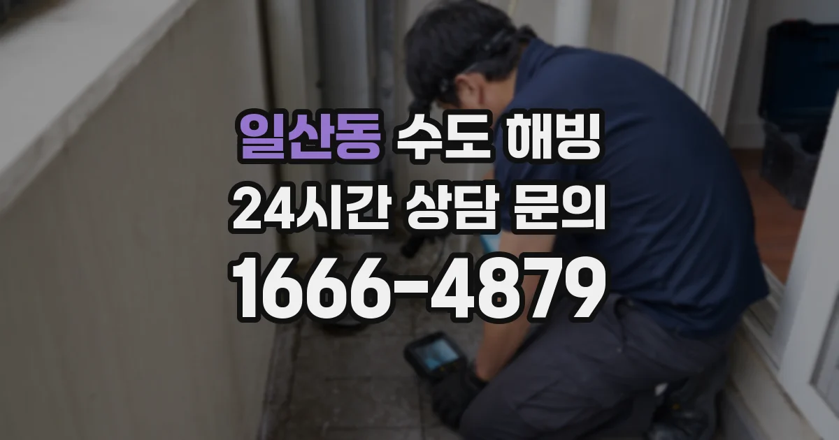 일산동 수도 해빙