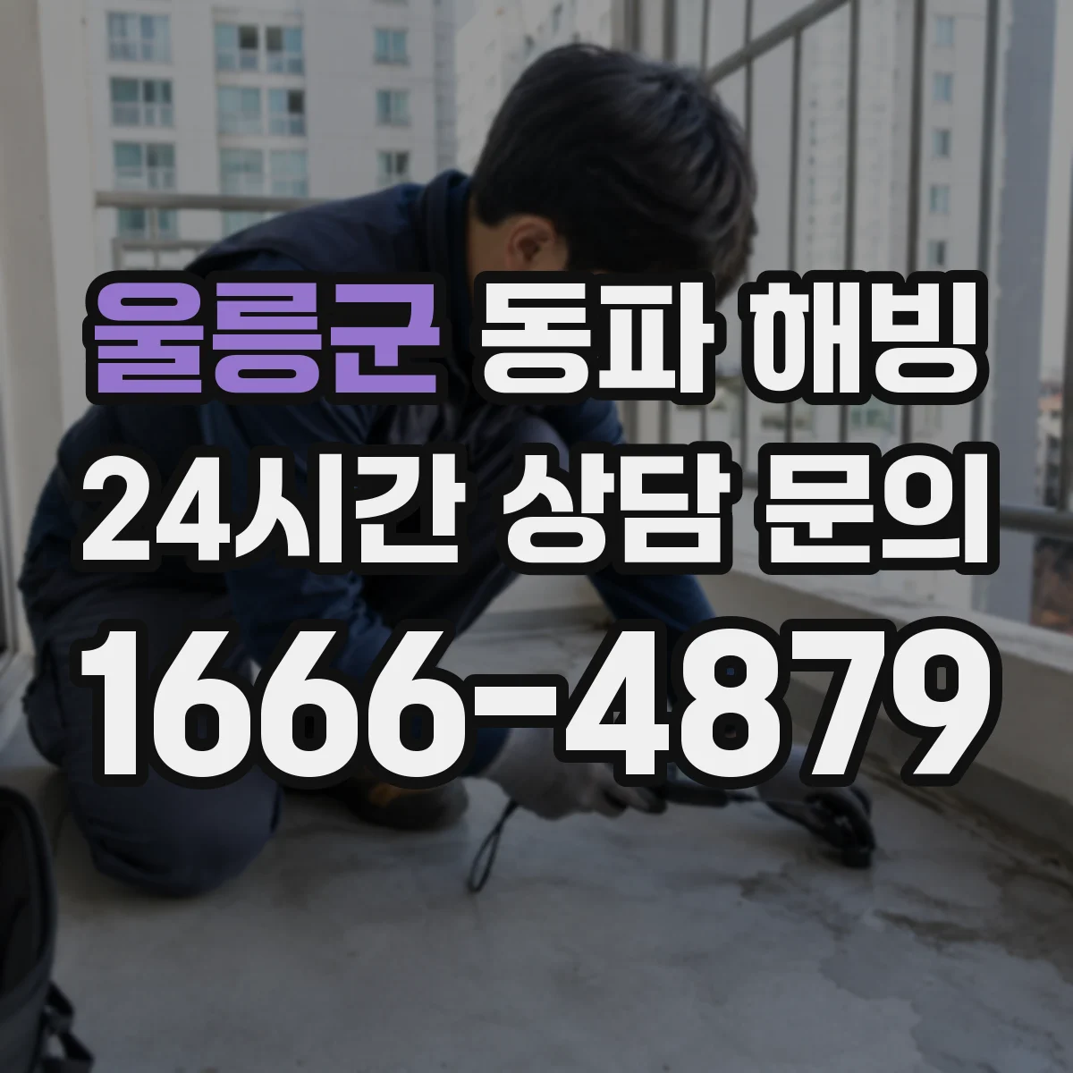 울릉군 동파 해빙