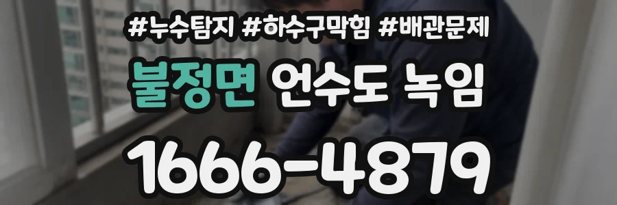 불정면 언수도 녹임