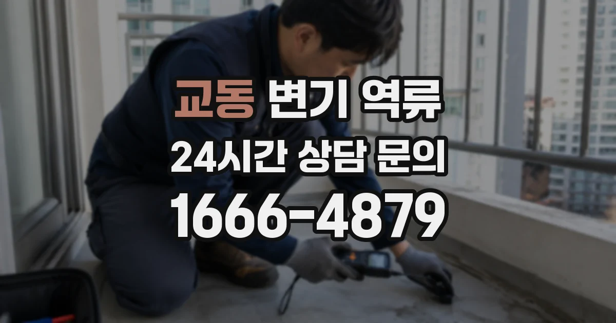 교동 변기 역류