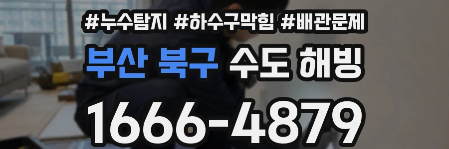 부산 북구 수도 해빙