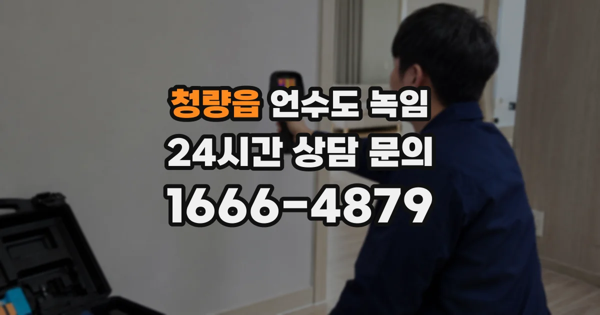 청량읍 언수도 녹임