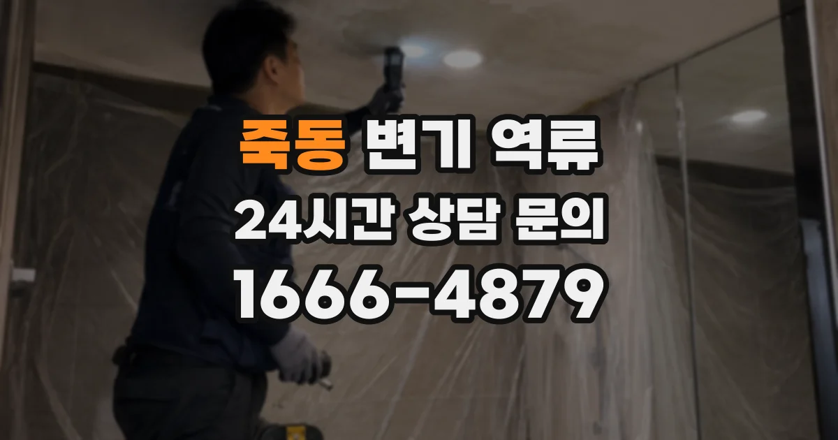 죽동 변기 역류