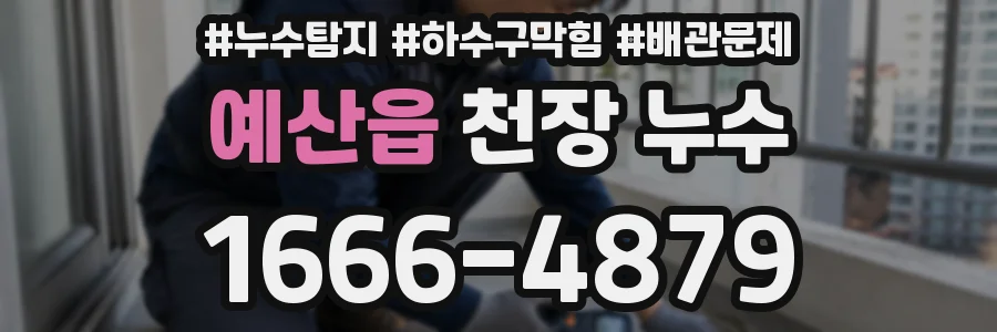 예산읍 천장 누수