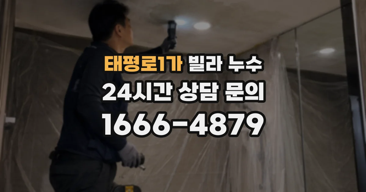 태평로1가 빌라 누수