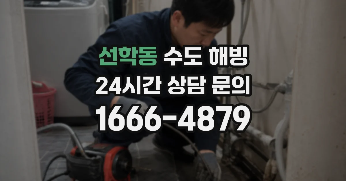 선학동 수도 해빙