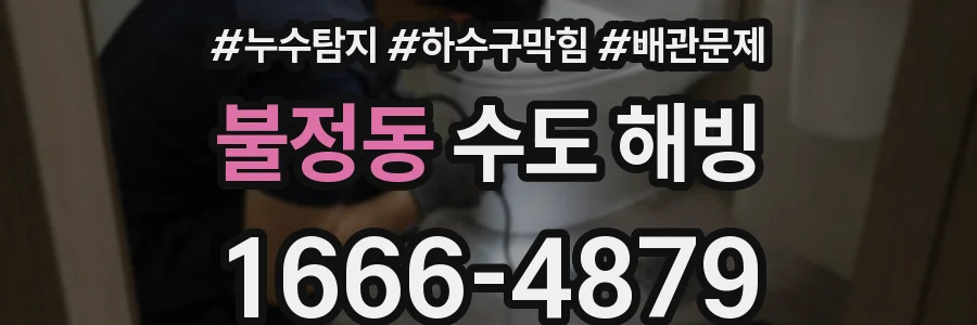 불정동 수도 해빙