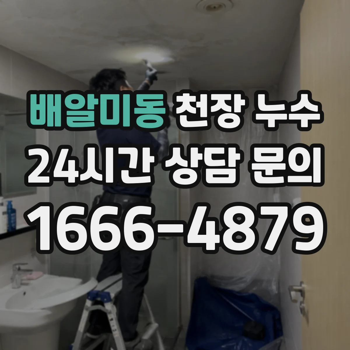 배알미동 천장 누수