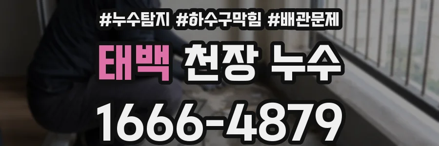 태백 천장 누수
